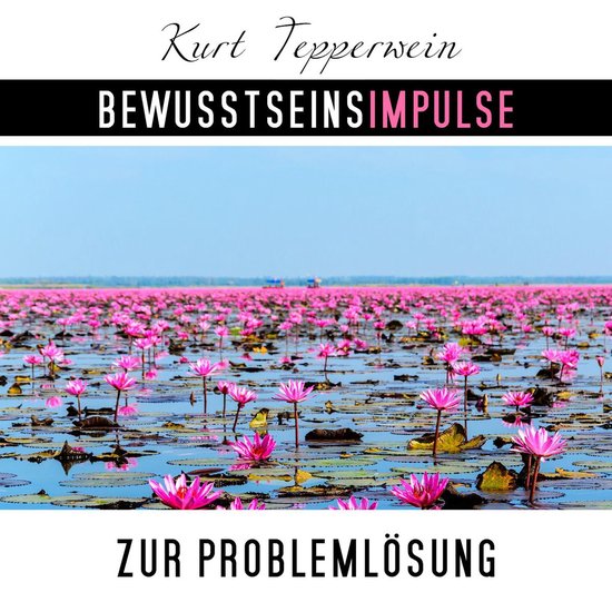 Bewusstseinsimpulse zur Problemlösung - cover