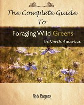 The Complete Guide to Foraging Edible Wild Greens in North America