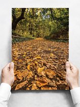 Wandbord: Herfstzicht met vallende bladeren op een pad in het bos - 30 x 42 cm