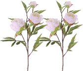 2x stuks kunstbloemen pioenrozen takken wit 73 cm - Kunstplanten rozen/roos