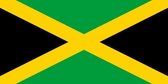 Vlag Jamaica 50x75cm
