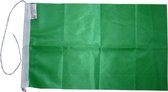 Groen vlaggetje 20x30cm