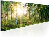 Schilderijen Op Canvas - Schilderij - Forest Shelter 135x45 - Artgeist Schilderij