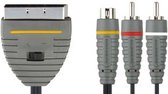 Bandridge BVL6302 video kabel adapter 2 m SCART (21-pin) RCA + S-Video Zwart, Grijs