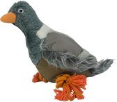 Wild Life Dog Pigeon (Duif)