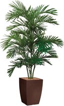 HTT - Kunstplant Areca palm in Genesis vierkant bruin H170 cm