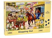 Stepping Out Puzzel 1000 stukjes