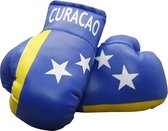 Mini Bokshandschoenen Curacao