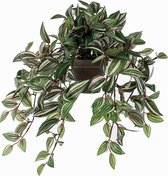 Mica Decorations Tradescantia Kunst Hangplant in Bloempot Stan - H45 x Ø25 cm - Groen