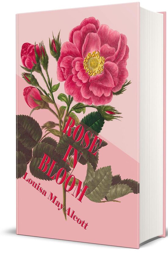Classic Fiction for Young Adults 195 - Rose in Bloom (Illustrated Edition)
