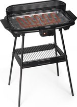 Princess 112247 - Elektrische Barbecue - Grilloppervlak (LxB) 47 x 28 cm