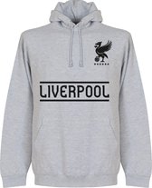 Liverpool Team Hoodie - Grijs - Kinderen - 152