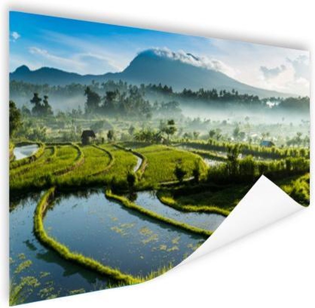 Poster Rijstvelden op Bali - 120x80 cm