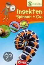 Naturdetektive - Insekten, Spinnen & Co.