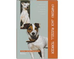 Jack Russel Terrier