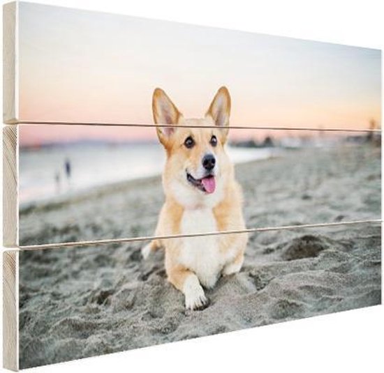 Honden op hout - 80x60 - Hond op het strand Hout - foto/schilderij op hout