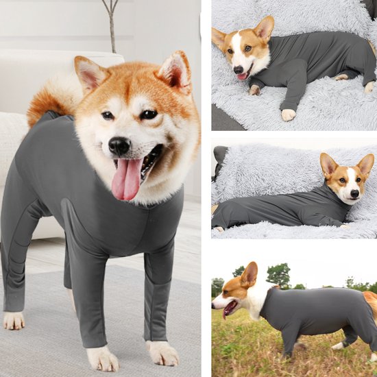 Pyjama chien operation new arrivals