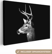 Tableau sur toile Cerf de Virginie sur fond noir en noir et blanc - 150x100 cm - Décoration murale