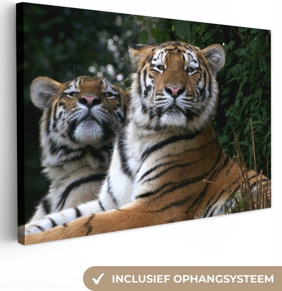 Deux tigres de Sibérie sur toile 30x20 cm - petit - Tirage photo sur toile (Décoration murale salon / chambre) / Peintures sur toile Animaux
