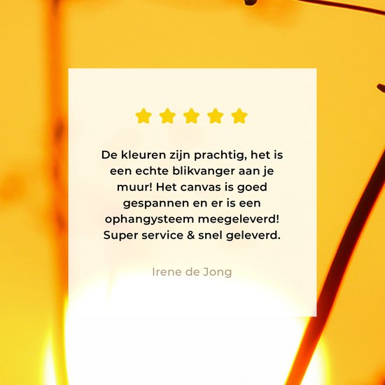 OneMillionCanvasses - Toile - Peinture - Soleil - Plantes - Oranje - Horizon - Photo sur toile - Toile - 40x60 cm - Décoration murale