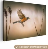 Canvas Schilderij Roodborstje - Vleugels - Natuur - 60x40 cm - Wanddecoratie