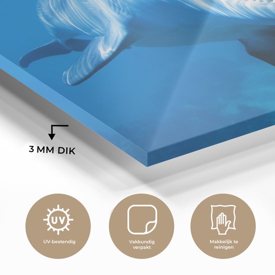 Peinture sur Verre - Dauphin - Water - Mer - 30x20 cm - Peintures sur Verre Peintures - Photo sur Glas