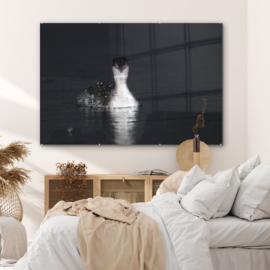 ® Glasschilderij 180x120 cm - Schilderij acrylglas - Een zwart-wit afbeelding van een Kuifduiker - Foto op glas - Muurdecoratie woonkamer - Wanddecoratie slaapkamer - Schilderijen