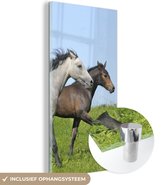 MuchoWow® Glasschilderij 20x40 cm - Schilderij acrylglas - Paarden - Dieren - Gras - Foto op glas - Schilderijen