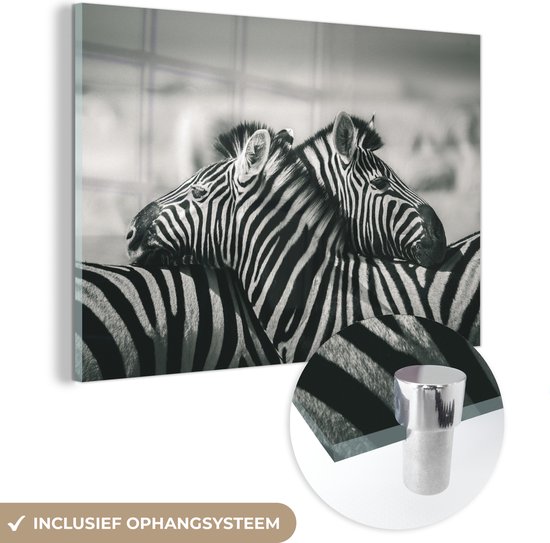 MuchoWow® Glasschilderij 150x100 cm - Schilderij acrylglas - Knuffelende zebra's - Foto op glas - Schilderijen