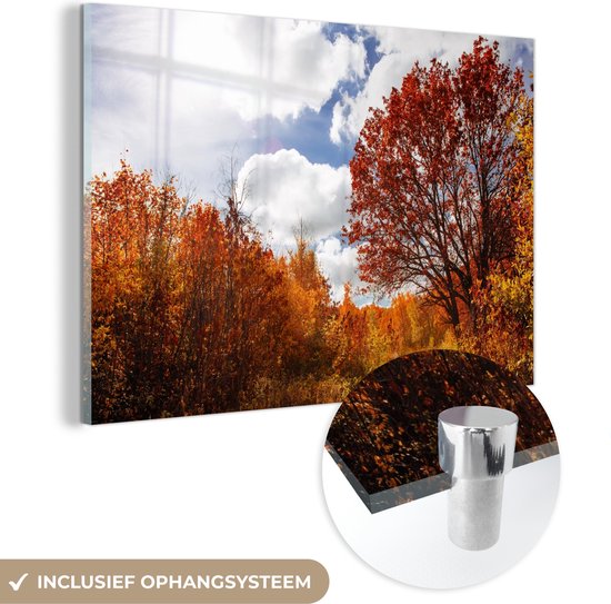 MuchoWow® Glasschilderij 90x60 cm - Schilderij acrylglas - Boom - Pad - Herfst - Foto op glas - Schilderijen