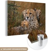 MuchoWow® Glasschilderij 30x20 cm - Schilderij acrylglas - Cheeta's zitten samen - Foto op glas - Schilderijen