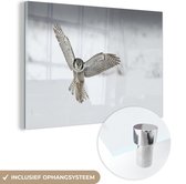 MuchoWow® Glasschilderij 120x80 cm - Schilderij acrylglas - Opzij vliegende sperweruil - Foto op glas - Schilderijen