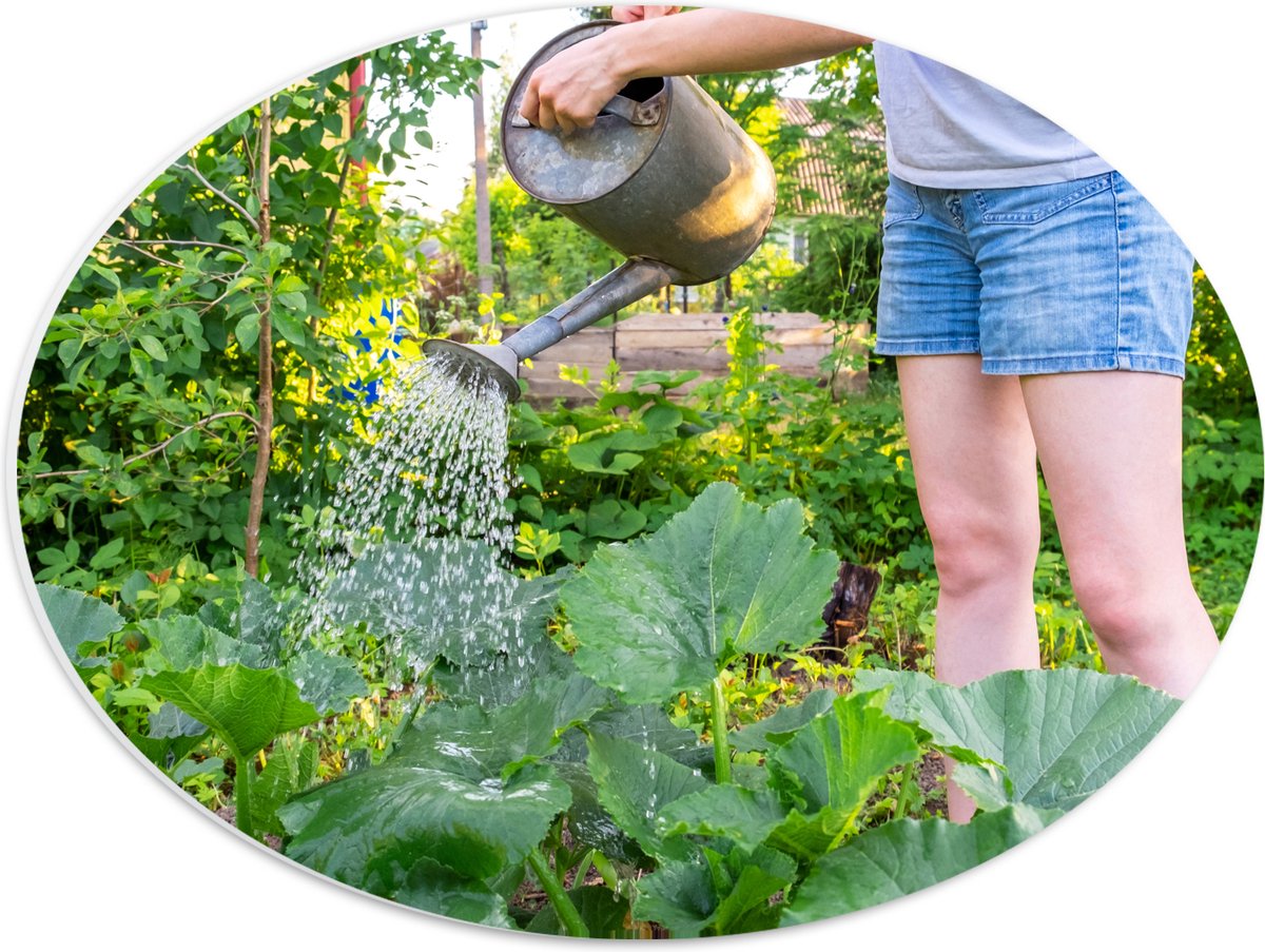 PVC Schuimplaat Ovaal - Tuin - Bloemen - Planten - Gieter - Water - Groen - 40x30 cm Foto