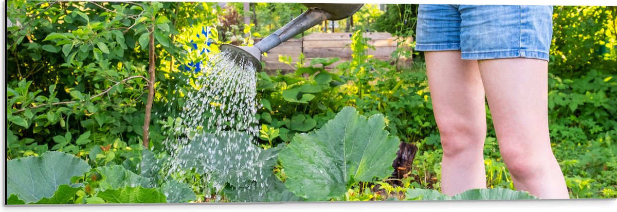 Dibond - Tuin - Bloemen - Planten - Gieter - Water - Groen - 90x30 cm Foto op Aluminium (M