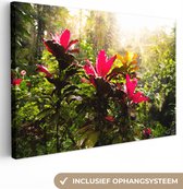 Canvas Schilderij Prachtige bloemen middenin de jungle - 120x80 cm - Wanddecoratie