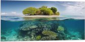 Vlag - Koraal - Oceaan - Zee - Eiland - 100x50 cm Foto op Polyester Vlag