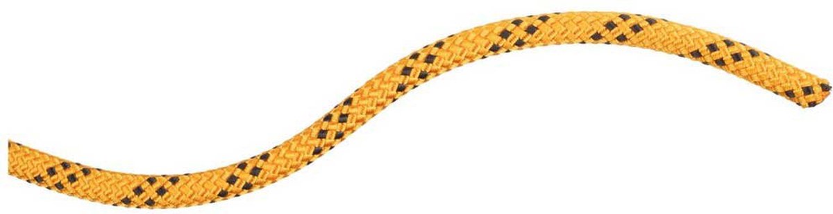 Mammut 10.0 Performance Static Touw Geel 200 m