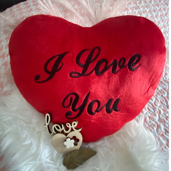 Hart - I love you kussen