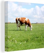 Vache brun-blanc dans la prairie Toile 20x20 cm - petit - Tirage photo sur toile (Décoration murale salon / chambre) / Peintures sur toile Animaux