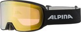 Alpina Nakiska QV Skibril - Zwart | Categorie 3
