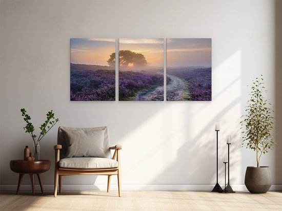 Artaza Tableau Triptyque Chemin dans la Prairie de la Veluwe - 180x80 - Groot - Photo sur Toile - Impression sur Toile