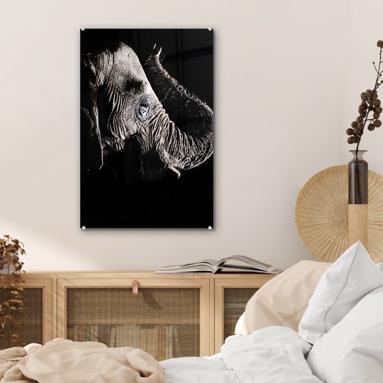 MuchoWow® Peinture sur verre 40x60 cm - Peinture sur verre acrylique - Éléphant - Zwart - Animaux - Nature - Photo sur verre - Peintures