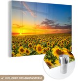 Glasschilderij - Foto op glas - Zonnebloem - Bloemen - Veld - Geel - Acrylplaat - Glasschilderij bloemen - Schilderij natuur - 120x80 cm - Acrylglas - Wanddecoratie - Muurdecoratie