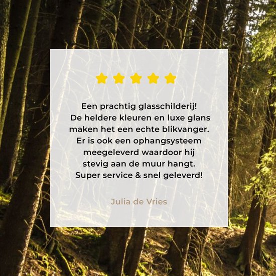 MuchoWow® Peinture sur verre - Arbre - Nature - Soleil - Forêt - 100x150 cm - Peintures sur verre acrylique - Photo sur Glas