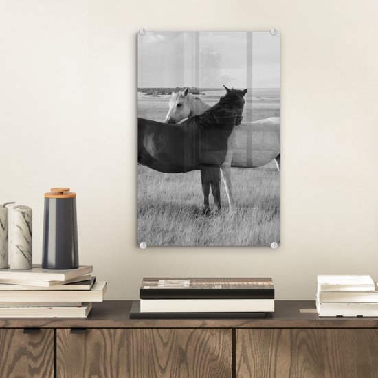 Peinture sur verre - Photo sur verre - Verre acrylique - Animaux - Paarden - Herbe - Nature - 20x30 cm - Peinture sur verre cheval - Peinture sur verre - Peinture sur verre animaux - Décoration murale - Chambre à coucher