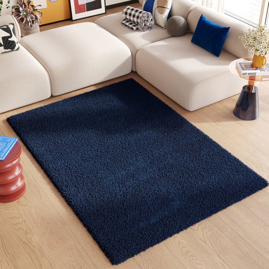 Tapiso Essence Rug Salon Chambre Blauw Intérieur Shaggy Design Moderne Atmosphérique Durable Haute Qualité Tapis Taille - 140x200
