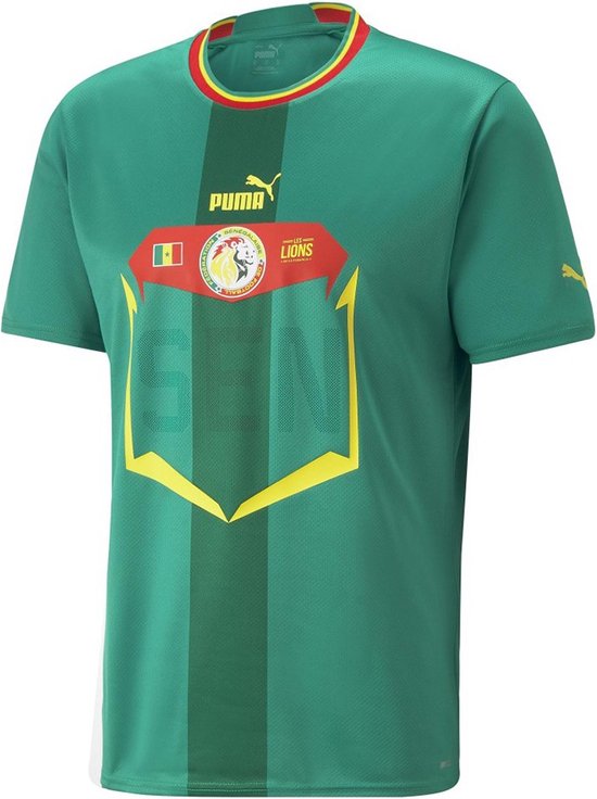 Puma Het overhemd van de voetbal Fsf Away Jersey