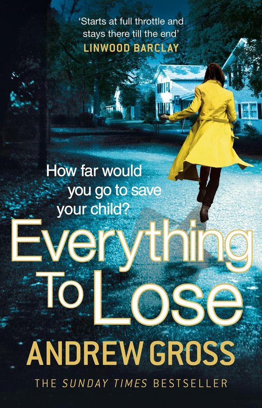 Everything to Lose - cover