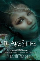 Insight - Blakeshire