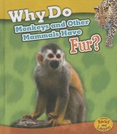 Why Do Monkeys and Other Mammals Have Fur?